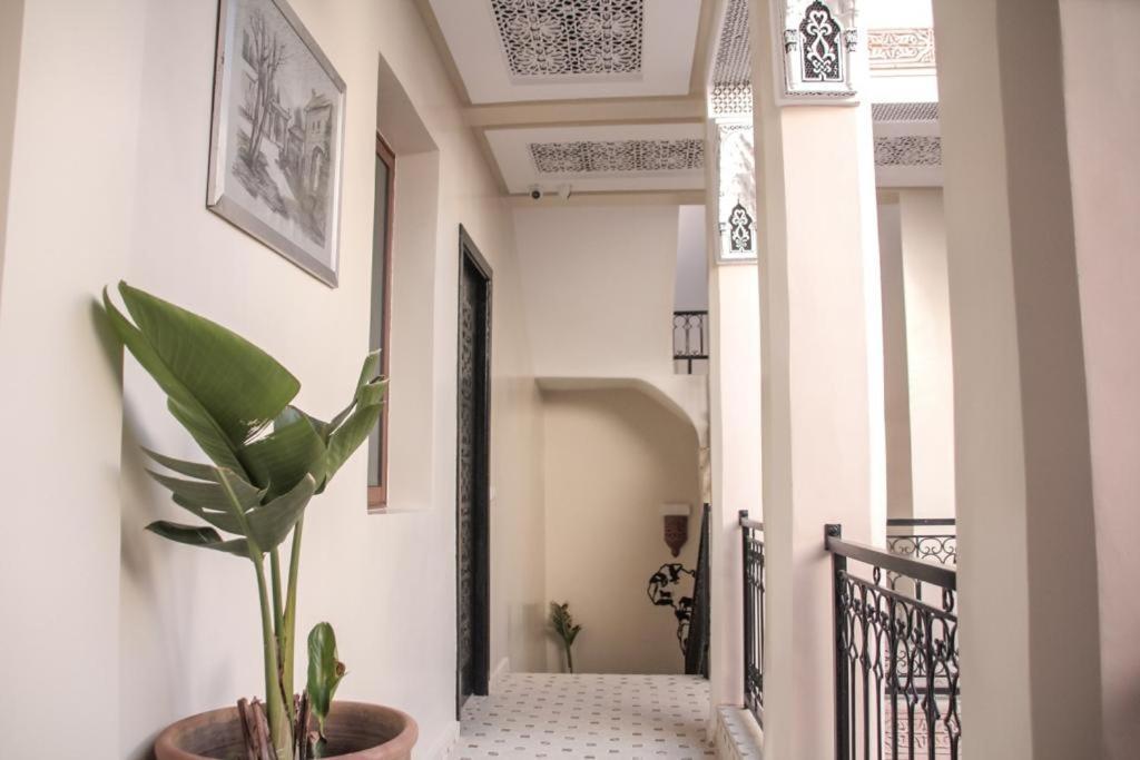 Riad Amazing Marakéš Exteriér fotografie